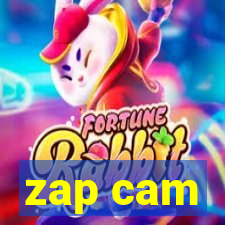 zap cam